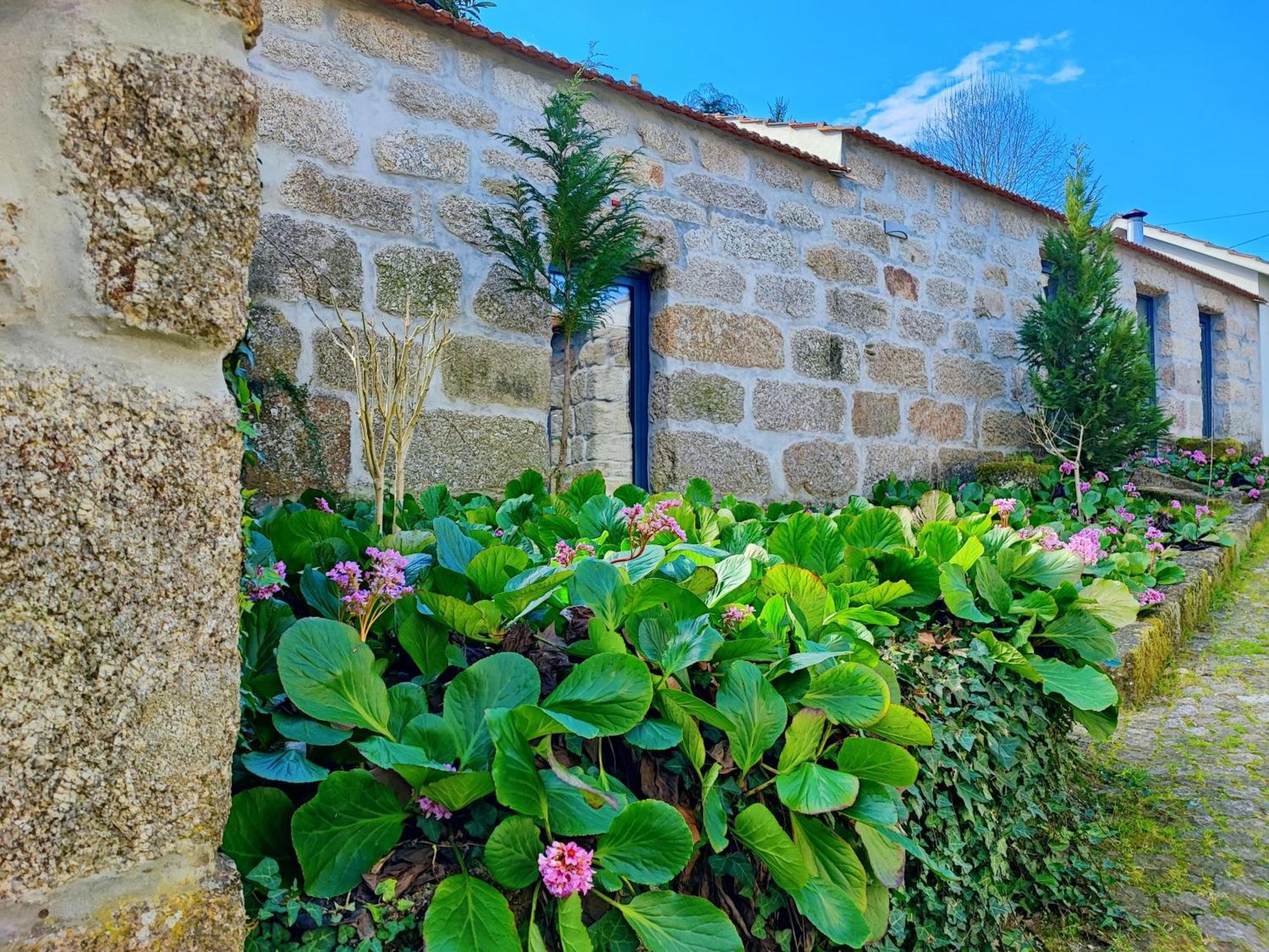 Agroturismo Quinta De Travancela Amarante Exterior foto